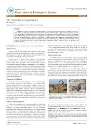 7 авг 201584 277 просмотров. Pdf The Walia Ibex Capra Walie