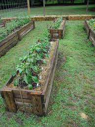 Strawbale Gardening Strawbale Garden Raised Garden