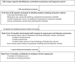 Incident Testicular Cancer In Relation To Using Marijuana And Smoking Tobacco A Systematic Review And Meta Analysis Of Epidemiologic Studies Sciencedirect