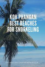 Koh Phangan Thailand Best Snorkel Beaches Snorkel Around The World Koh Phangan Snorkeling Best Snorkeling