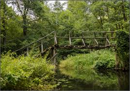 Jetzt die besten banken in lübben (spreewald) finden. Keine Brucke Sondern Eine Bank Im Spreewald Foto Bild Deutschland Europe Brandenburg Bilder Auf Fotocommunity