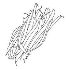 fruits and vegetables coloring pages momjunction vegetable color coloriage pingouin