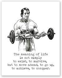 Amazon Com Atozstudio A61 Arnold Schwarzenegger Poster Quote Home Gym Wall Art Decor Motivational Print Conquer Fitness Artwork Bodybuilding Picture Training Mr Olympia 8x10 Posters Prints