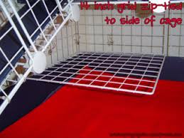 Diy bed for guinea pigs (using old clothes). Guinea Pig Bunk Bed Diy