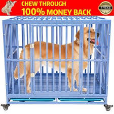Three doors with a large side door for easy access. Petgroomingtable Heavy Duty Dog Crate Cage Kennel Playpen Large Strong Metal For Large Dogs Cats With Two Prevent Escape Lock And Four Lockable Wheels Dogs Pet Supplies Sostulsa Com