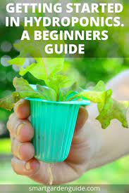 Getting Started In Hydroponics Hydroponics For Beginners This Guide Will Tell You All About Home Hydroponics Hydroponics Diy Hydroponic Growing