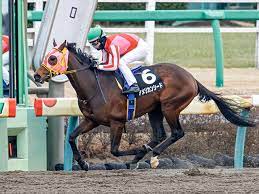 Jun 07, 2021 · 当ブログにご訪問いただき、ありがとうございます。本日は函館スプリントステークス(2021)のデータ分析です。まずは出走予定馬から。馬名性齢負担重量騎手アスタールビー牝554.0kg－アルピニズム牡456.0kg団野イッツクール牡556.0kg－カツジ牡657.0kg岩田康カレン ã‚¨ãƒ«ãƒ s ã‚¢ãƒ¡ãƒªã‚«ãƒ³ã‚·ãƒ¼ãƒ‰ é™°ã‚‚è¸ã¾ã›ã¬é€ƒèµ°åŠ‡ã§é‡è³žåˆåˆ¶è¦‡ã¸ ç«¶é¦¬ãƒ‹ãƒ¥ãƒ¼ã‚¹ Netkeiba Com