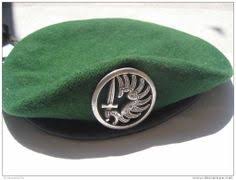 Image result for World Foreign Legions