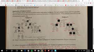 We have a dream about these pedigree problem worksheet answers images collection can be a hint for you, bring you more ideas and of course help you get an amazing day. Solved Is Number 10 On Pedigree A Autosomal Dominant If Chegg Com