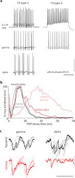 Get top exchanges, markets, and more. Layer 4 Pyramidal Neuron Dendritic Bursting Underlies A Post Stimulus Visual Cortical Alpha Rhythm Communications Biology