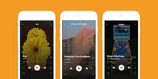 Wall decoration ideas can give your imagination a. 10 Tips To Get The Most From Your Canvas Spotify For Artists