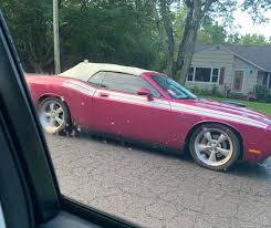 Image result for Fuchsia 2011 Citroen