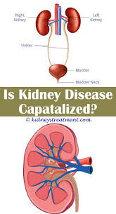 N blood biochemistry & haematology n urine dipstick. Cystic Disease Of The Kidney Ppt Lemon Water For Kidney Disease Feline Kidney Disease Treatme Kidney Disease Awareness Polycystic Kidney Disease Kidney Disease