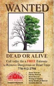 Wanted Poster For Tree Service Company Tree Service Tree Removal Service Tree Company
