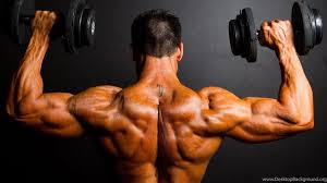 Download bodybuilding wallpaper for free in different resolution ( hd widescreen 4k 5k 8k ultra hd ), wallpaper support different devices like desktop pc or laptop, mobile and tablet. Bodybuilding Hd Wallpapers Desktop Background