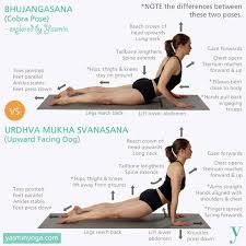 Pin By Casey Newton On Exercise Yoga Cobra Pose Yoga Yoga Asanas Yoga Moves