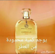 Montando y cuidando un caballo. ØµØºÙŠØ± Ø¬Ø¯Ø§ Ø­Ø§Ø¯Ø« Ù…Ø°ÙƒØ±Ø© Ø¹Ø·Ø± Pride Ø§Ù„Ù†Ø³Ø§Ø¦ÙŠ Claudiastories Com