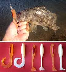 Diy Fishing Lures From 3d Printed Models And Silicone Molds Diy Fishing Lures Fish Fishing Lures