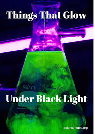 Blue, green and purple lighting tend to be eerie and ghostly (great for a cemetery, as i mentioned above) while orange and make sure to get the white kind, since the grey and black ones don't reflect the light nearly as well. List Of Things That Glow Under Black Light Science Notes And Projects Glow In Dark Party Blacklight Party Glow Party