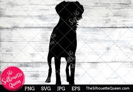 Download Brittany Spaniel Dog Silhouette Graphic By Thesilhouettequeenshop Creative Fabrica SVG Cut Files