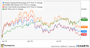 Is Ishares Nasdaq Biotechnology Index Fund A Buy The