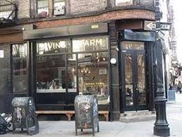 Best Coffee Shops And Bagel Bars In New York Irving Farm In 2020 Best Coffee Shop Coffee Shop Best Coffee