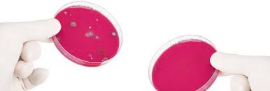 Staph infections—including those caused by mrsa—can spread in hospitals, other healthcare facilities, and in the community where you live, work, and go to school. Kbv Mrsa