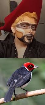 Horse of kings thief of hearts #sirronan #Noblesteed