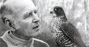 Stephen Bodio's Querencia: Heinz Meng, 1925