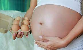 Pregnant Women Who Eat Eggs Have Babies With Higher Iqs Daily Mail Online