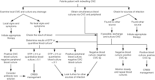 Staphylococcus epidermidis crbsis tend to present with nonspecific symptoms. Central Line Related Blood Stream Infections Crbsi Springerlink