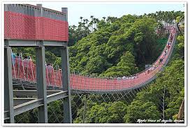 「猴探井天空之橋」的圖片搜尋結果