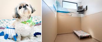 Find the best hobart, in animal hospital on superpages. Dog Boarding Dog Kennel Northwest Indiana Hobart Animal Clinic