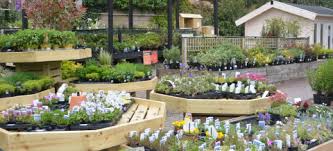 Local listings for nurseries & garden centres in chester as well as other businesses, organisations, clubs and attractions in chester and throughout cheshire. Garden Centre Hall S Garden Centre Garden Aquatics Centre Birmingham