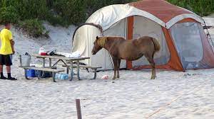 Magazine Virginia Camping Camping Spots Beach Camping