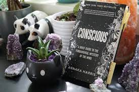 Mind and the wave function collapse john hagelin in conversation with henry stapp. Review Conscious By Annaka Harris The Burgundy Zine