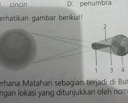 Solar eclipse berlaku apabila kedudukan bulan terletak di antara bumi dan matahari oleh itu menutup cahaya matahari samada separa atau sepenuhnya. Yang Mana Gerhana Matahari Cincin Brainly Co Id