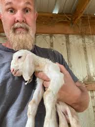 Spotted Nubian Farms