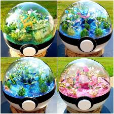 Pin By Ling Xi On Gift Ideas Pokemon Terrarium Pokemon Craft Pokemon Gifts
