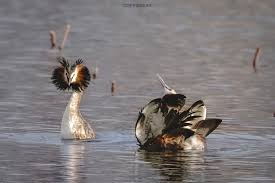 总有那么几天」关注