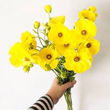 Je T Aime Yellow Butterfly Ranunculus A French Tuck Stripe Shirt Virifloraldesign Yellowflowe Happy Flowers Blossom Flower Spring Flowers
