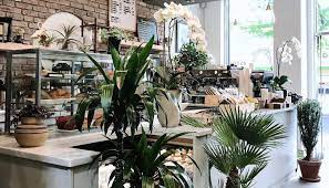 Coffee so pretty you can't help but want to capture it. Remi Flower Coffee A Shop For Cut Flowers Plants And Coffee We Serve Cafe Drinks And Pastries In Our Space Nestled Among Our Array Of Plants And Flowers For Sale