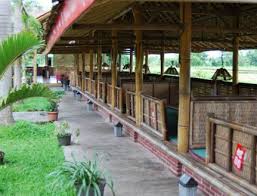 We did not find results for: 10 Tempat Kuliner Di Blitar Enak Dan Terkenal 2021