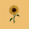 Wildflower isn't your typical floral shop. 1