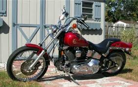 Image result for Dark Victory Red 1994 FXSTS