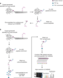 Note that rounding errors may occur, so always check the results. Rapid And Deep Scale Ubiquitylation Profiling For Biology And Translational Research Nature Communications