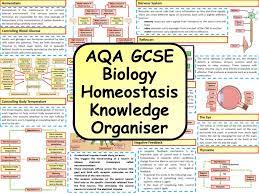 pin on science ks4 english flashcards pdf