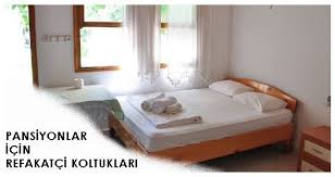 Refakatci Koltuklari Refakatci Koltuklari Fiyati Refakatci Koltuk Fiyatlari Refakatci Koltugu Tek Kisilik Yatakli Koltuk Hasta Mobilya Fikirleri Ev Dekoru Ve Mobilya