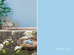 Image result for Robin Egg Blue 1972 Hussmann