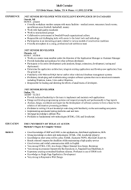 net senior developer resume samples